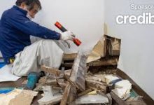 environmental-impact-of-water-damage:-what-homeowners-should-know
