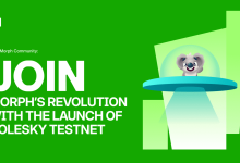 join-morph’s-revolution-with-the-launch-of-holesky-testnet