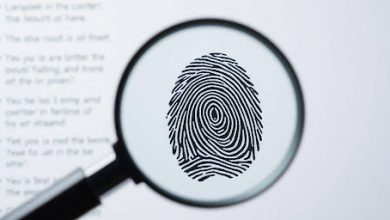 how-online-background-checks-help-in-fraud-prevention