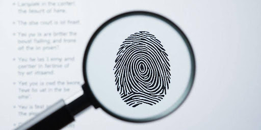 how-online-background-checks-help-in-fraud-prevention